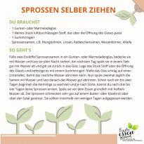Mediendetails: Sprossen selber ziehen