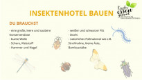 Mediendetails: Anleitung Insektenhotel bauen