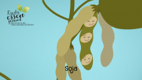 Mediendetails: Soja