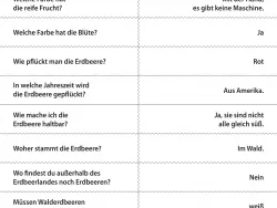 Arbeitsblatt Erdbeere-Spannspielblatt-SHAKE Projekt Schmatzi