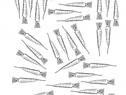 Arbeitsblatt Karotte-Ernten Projekt Schmatzi