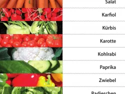 Arbeitsblatt Karotte-Spannspielblatt Projekt Schmatzi