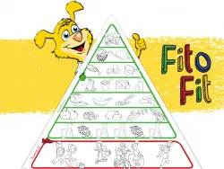 Tut gut Fito Fit Ausmalvorlage Ernährungspyramide