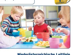 Voransichtbild NÖ Leitlinien Gemeinschaftsverpflegung