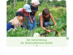 Voransichtsbild Die Entwicklung der Kulturpflanze