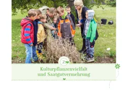 Voransicht Kulturpflanzenvielfalt und Saatgutvermehrung