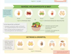 Infoblatt - Ernährungsempfehlungen für 4- bis 10-Jährige