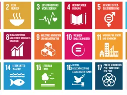 Unterrichtsmaterialien UBZ Steiermark