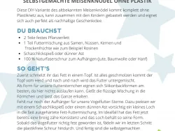 Vogelfutter-Sterne Voransicht