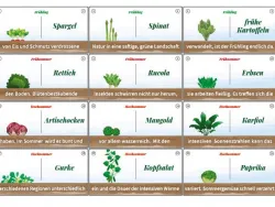 © die_Esserwisser_Gemüse_Domino