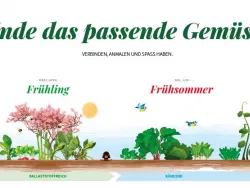 © die Esserwisser_Spiel_Gemüse_anmalen