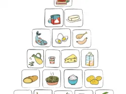 Vorschaubild Ernährungspyramide aks gesundheit GmbH