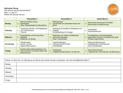 Vorschaubild Speiseplanübung Gesundheitsfonds Steiermark