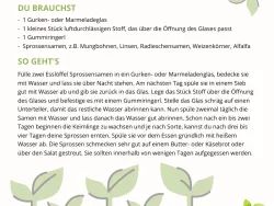 Anleitung zum Sprossen ziehen