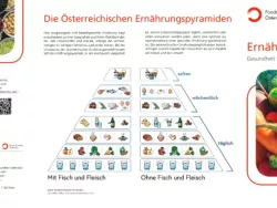Folder Ernährung © FGÖ/GÖG