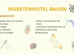 Vorschaubild Insektenhotel auf gelben Hintergrund