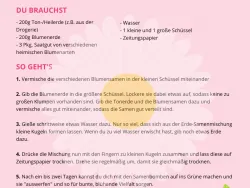 Vorschaubild Samenbomben - Beschreibung der Zutaten auf rosarotem Hintergrund