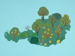 Karte von Österreich, grün mit verschiedenen Obstsorten darauf