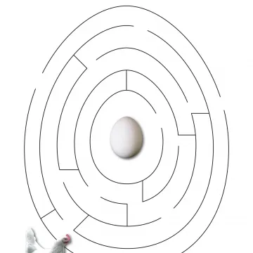 Arbeitsblatt Ei Labyrinth Projekt Schmatzi