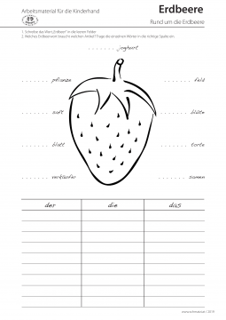 Arbeitsblatt Erdbeere-Rund-um Projekt Schmatzi