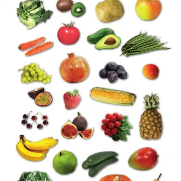 Arbeitsblatt Ernten - Schau genau! Projekt Schmatzi