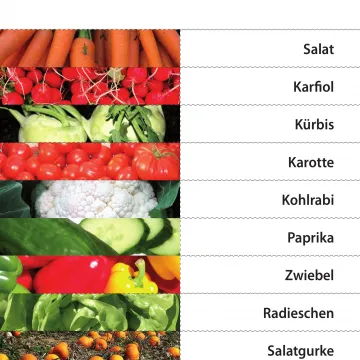 Arbeitsblatt Karotte-Spannspielblatt Projekt Schmatzi