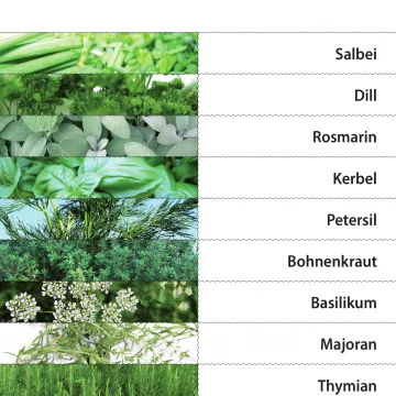 Arbeitsblatt Kräuter-Spannspielblatt Projekt Schmatzi