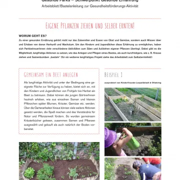 Seitenansicht Eigene Pflanzen ziehen 