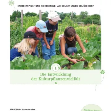 Voransichtsbild Die Entwicklung der Kulturpflanze