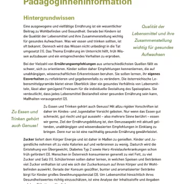 PädagogInneninformation Voransicht