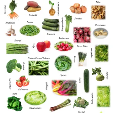 Vorschaubild Saisonkalender