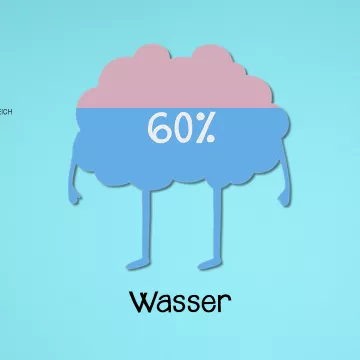 Voransichtbild Video Wasser