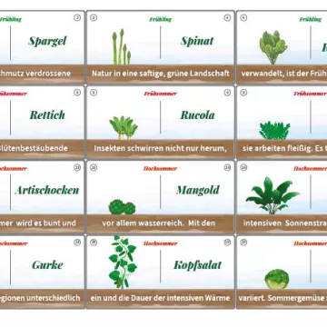 © die_Esserwisser_Gemüse_Domino