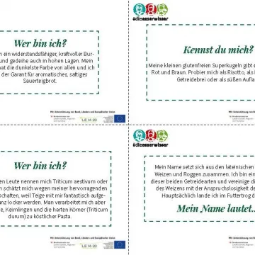 © die Esserwisser_Spiel_Getreide