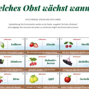 © die_Esserwisser_Obst_Domino