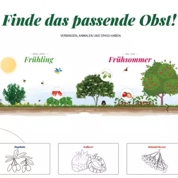 © die_Esserwisser_Obstpuzzle