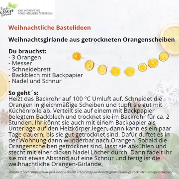 Bastelanleitung Orangen_© GÖG