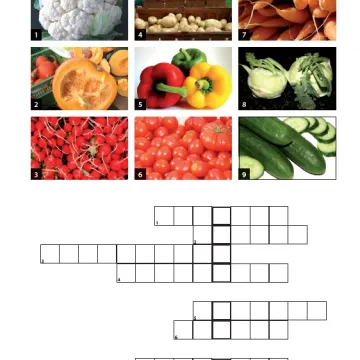 Vorschaubild Karotte Kreuzworträtsel Projekt Schmatzi