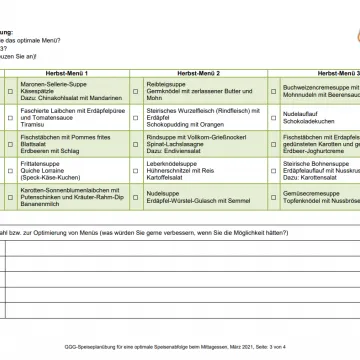 Vorschaubild Speiseplanübung Gesundheitsfonds Steiermark