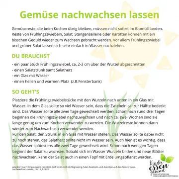 Vorschaubild Anleitung Gemüse nachwachsen lassen