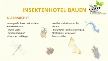 Vorschaubild Insektenhotel auf gelben Hintergrund