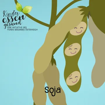 Vorschaubild Soja - Sojabohnen in der Hülse gezeichnet