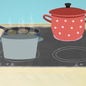 Zwei Töpfe und eine Pfanne auf Herdplatte / © GÖG