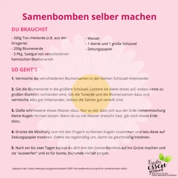 Vorschaubild Samenbomben - Beschreibung der Zutaten auf rosarotem Hintergrund