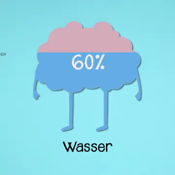 Bild zum Video Wasser