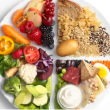 Teller mit verschiedenen Lebensmitteln in ausgewogener Zusammensetzung