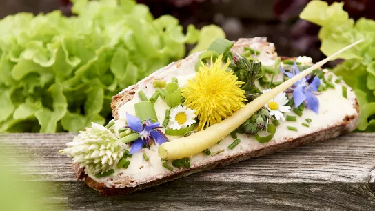 Butterbrot belegt mit bunten Blüten und Kräutern
